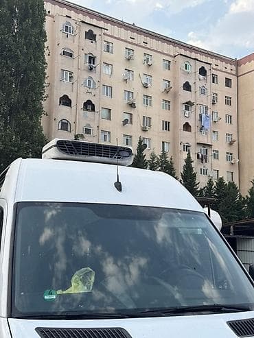 maşın üçün ətirlər: Mercedes-Benz Sprinter, 2009 il, motor 2.2 l, Soyuducu, İşlənmiş — 3