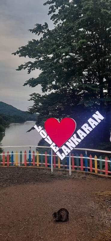 баку набрань такси: Minivan, 8 Oturacaq — 10