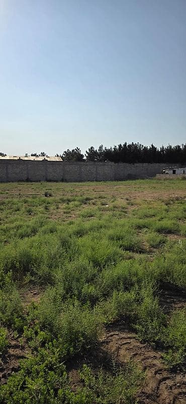 binə evlərin satışı: 50 sot, Tikinti, Kupça (Çıxarış) — 1