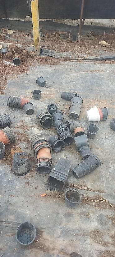 Çöl bitkiləri: Salam dekorativ bitkilər üçün plastik islenmis ve saglam istifadeye — 4