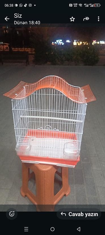 Gəmiricilər: Karella Tutuquşu Hazır cütdü 5 gündü yumurtaya düşüb, Tək halda hərəsi — 5