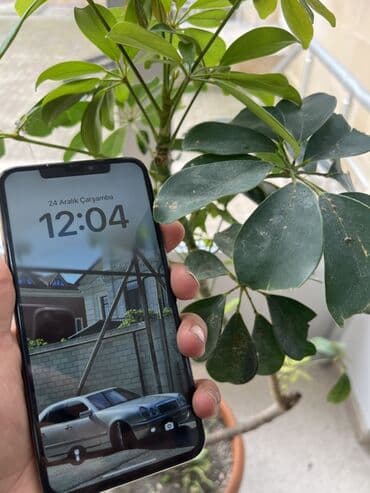 Фото и видеокамеры: IPhone Xs Max, 64 ГБ, Золотой, Face ID — 8