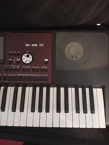 pax3 korg: Sintezator, Korg — 4