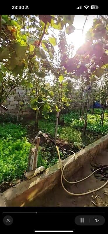 zabratda ucuz heyet evleri 2022: Həyətyanı sahəli fərdi yaşayış evi - Aşağı kürsülü, maili dam — 3