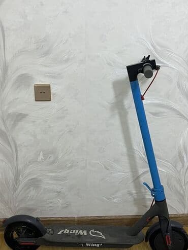 гироскутеры 10 дюймов: Elektrikli skuter – WingZ - Şəhər içi rahat hərəkət üçün elektrikli — 1