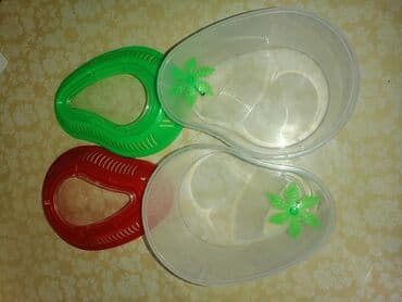 отдам в добрые руки: Kiçik tısbağalar satılır, mavi plastik akvarium. Akvariumun — 7