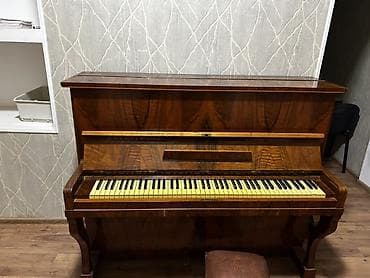 Velosiped ehtiyyat hissələri: Piano, Akustik — 6