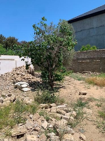 5 sot, Tikinti, Makler, Kupça (Çıxarış) — 2