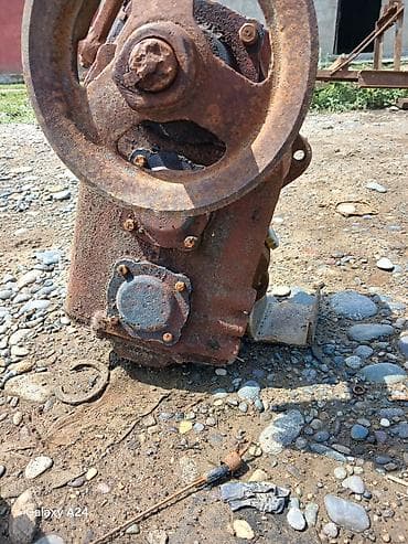 badam yağı: Redukdur her nox var — 1