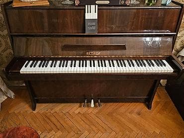 Piano, Petrof, Akustik