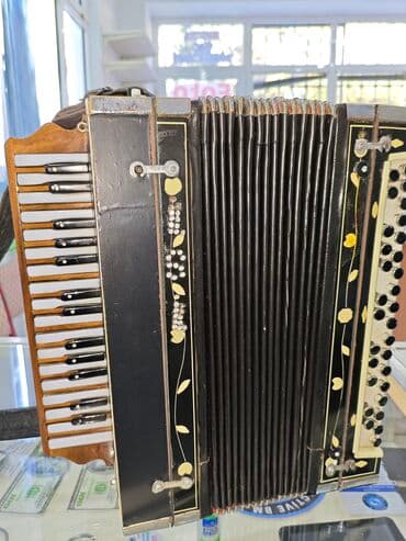 skripka 4 4: Akustik Akkordeon — 2