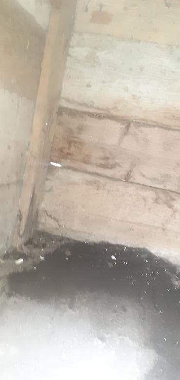 it damları: Taxta it evi - Material: möhkəm taxta karkas, ikiqat taxta divarlar; — 4