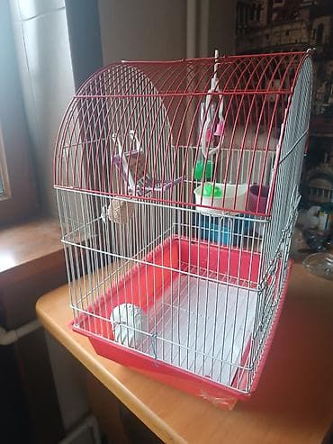 qus yuvasi satisi: Qəfəs.Cox səliqəli islənib.Təmizdi.Orta razmerdədi — 7