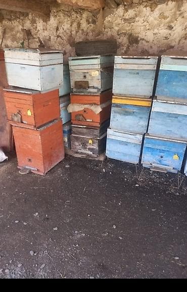 Arıçılıq üçün taxta arı yeşikləri və çərçivələr - Material: qalın