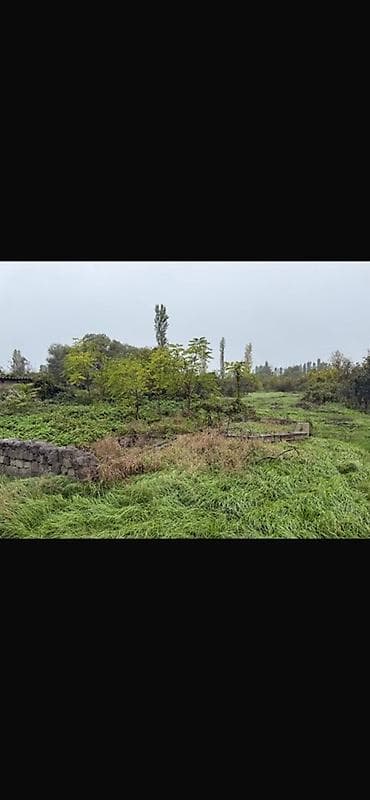 Tikinti — 3