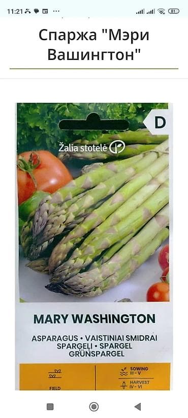 ad günü tort şekilleri: Məhsul: Qulançar Yaşıl #Asparaqus (sparja) – istixanada — 5