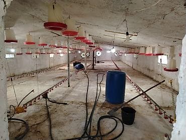 Broylər/quşçuluq ferması üçün avadanlıq komplekti. Təsərrüfat üçün — 4