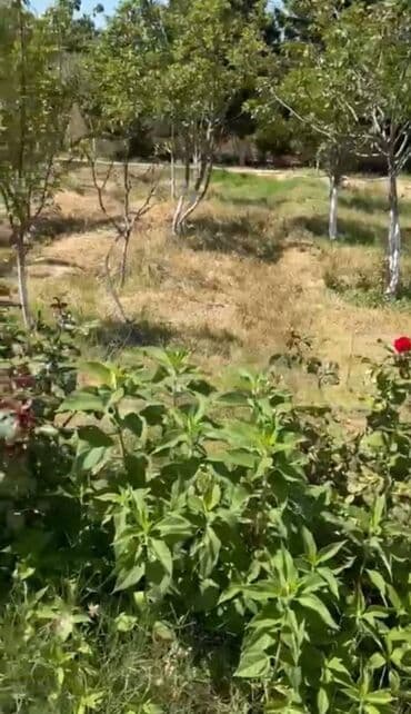 дом в баку купить: Баку, Новханы, 360 м², 6 комнат, С бассейном, Комби, Водопровод, Телефон — 29