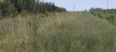 ev ve torpaq: 44 sot, Kənd təsərrüfatı, Mülkiyyətçi, Kupça (Çıxarış) — 10