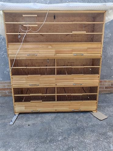 mal bazari: Taxta qəfəs, çoxsəviyyəli quş qəfəsləri sistemi. Uzunluğu - — 5