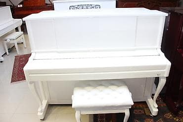 Akustik piano. Royal Musiqi Aletleri salonu sizlere genish