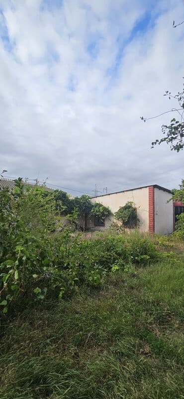 аренда продажа земельных участков: 48 sot, Kənd təsərrüfatı, Kupça (Çıxarış) — 27