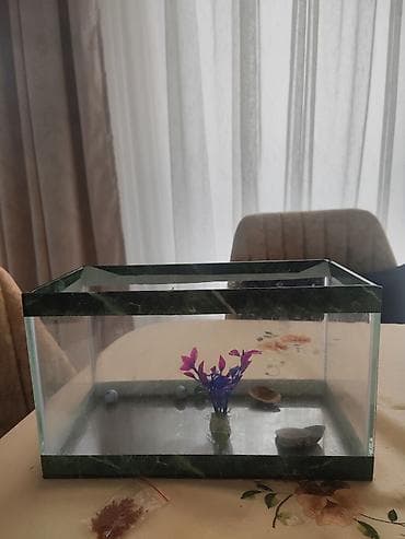 akvarium bitkileri: Akvaryum dəsti - Material: şüşə korpus, yaşıl mərmər naxışlı çərçivə — 2