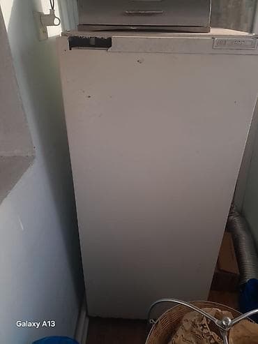 ucuz soyduclar: Bir kameralı, üst tərəfdə kiçik dondurucu bölməsi olan məişət — 2