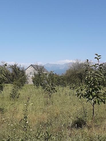 xacmaz torpaq satışı: 103 sot, Tikinti, Maklerlər narahat etməsin, Kupça (Çıxarış) — 1