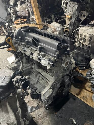 dizel matorlar: Kia ceed, 1.6 l, Dizel, 2010 il, İşlənmiş — 1