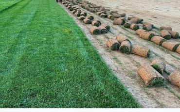 oz evim masaj edirəm bəyləre bugün elan: : bağban axran işləri görürəm bütün növ ağcların gülərin əkilməsi — 1