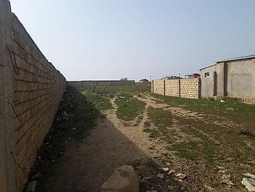 13 sot, Kənd təsərrüfatı, Mülkiyyətçi, Kupça (Çıxarış)