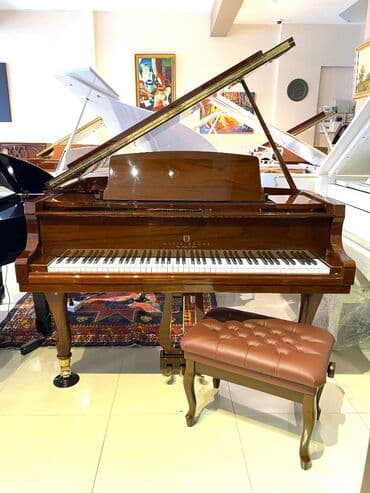 ucuz sıntezatorlar: Royal music yeni bir markanin distributorlugunu aldi — 1