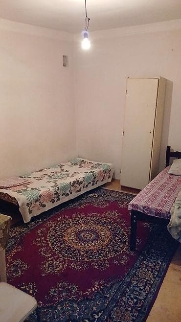 kiraya: 33 kv. m, 1 otaqlı, İnternet, Telefon, Qaz — 10