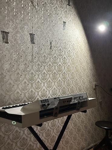 korg pa 3: Sintezator, Korg, İşlənmiş, Ödənişli çatdırılma, Rayonlara çatdırılma — 4