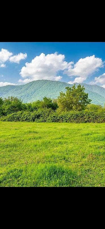 bine torpaq: 40 sot, Biznes üçün, Maklerlər narahat etməsin, Kupça (Çıxarış) — 4