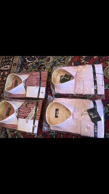 Şortlar: Köynək, Standart — 1