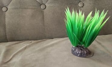 azerbaycanca pişik adlari: Salam! 1 şəkil -Akvarium - 35 manata 40 idi 2 şəkil -filtr - 16 — 12