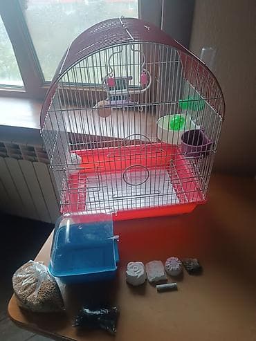 Qəfəs.Cox səliqəli islənib.Təmizdi.Orta razmerdədi