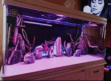Zavod akvarium 1.20_60_45 ölçüde üsdündə bio filteri de verilir fikri at lalafo.az Zavod akvarium 1.20_60_45 ölçüde üsdündə bio filteri de verilir fikri