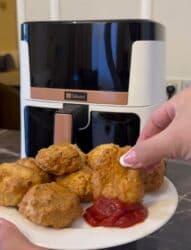 Fritozlar: Fritoz Silver, Yağsız l, Yeni, Rayonlara çatdırılma, Pulsuz çatdırılma, Ödənişli çatdırılma — 3