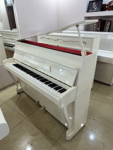 hədəf azərbaycan dili qayda kitabı qiyməti: Piano, Petrof, Akustik, Yeni, Pulsuz çatdırılma — 15