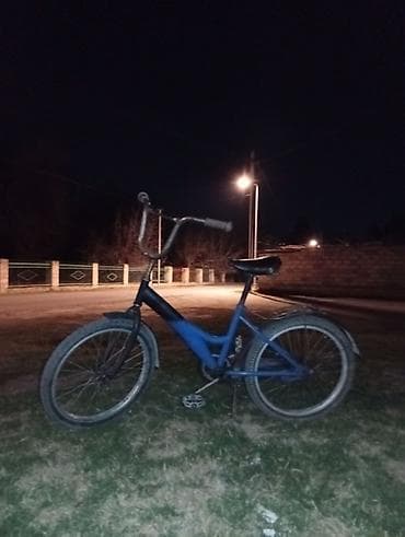 İki təkərli Uşaq velosipedi 20", sürətlərin sayı: 1