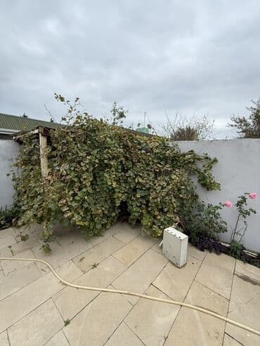 ev uzlukleri: 6 otaqlı, 150 kv. m — 19