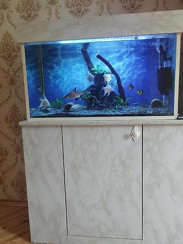 ucuz it: Akvarium-şkaf, Balıqlarla birlikdə, 126 l, Ünvandan götürmə — 1