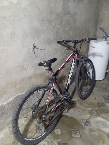 8 ci sinif ingilis dili metodik vesait yeni: Dağ velosipedi Start, 26" — 3