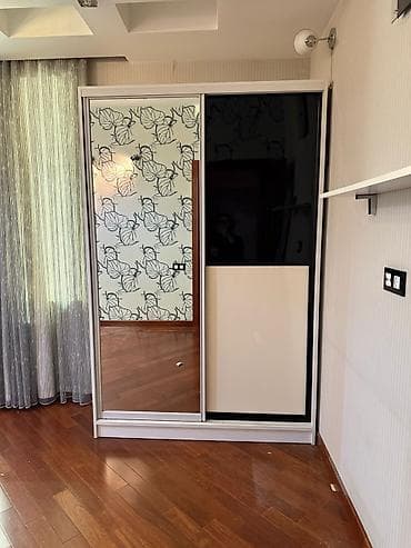 İşlənmiş, 2 qapılı, Güzgülü, Rəngli, Digər material, Kupe, Düz dolab