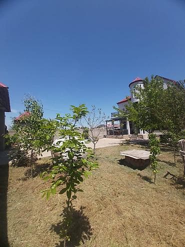 kiraye evlerin satisi: Qazax, 174 kv. m, 5 otaqlı, Hovuzlu, Kombi, Qaz, İşıq — 6