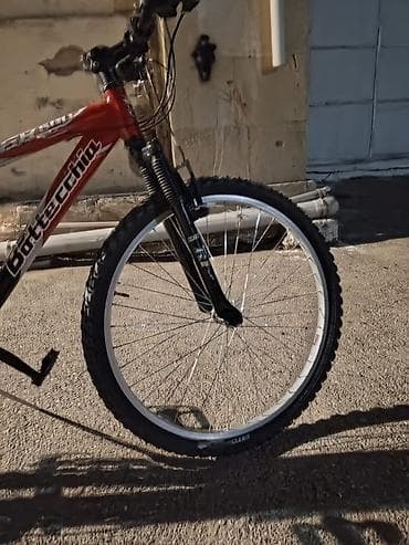 Bottecchia EX 500 dağ velosipedi - Çərçivə: yüngül metal, idman — 7