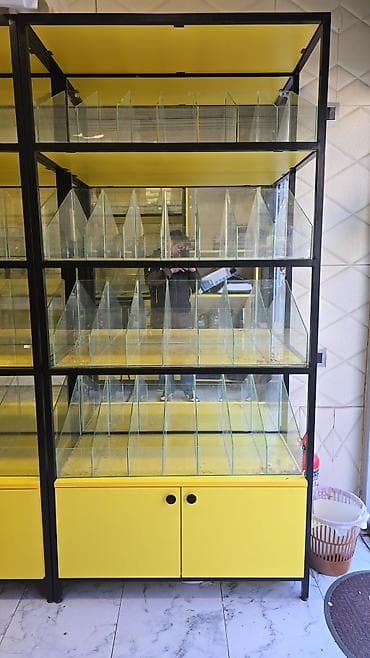 vitri: Mağaza üçün vitrin-stend dəsti - Material: möhkəm metal karkas, sarı — 2